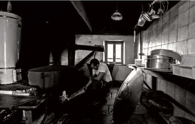 Vita nelle m, alghe friulane, foto di Renzo Bean Vita nelle m, alghe friulane, foto di Renzo Bean