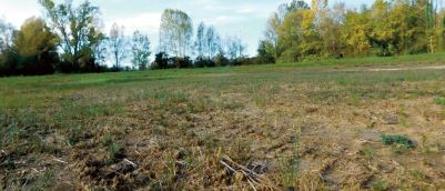 Storie di siccità e di acque sorgive nel basso Friuli